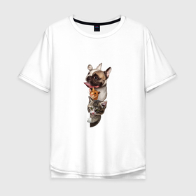 Мужская футболка хлопок Oversize с принтом PETS DOG HAMSTER KITTEN в Санкт-Петербурге, 100% хлопок | свободный крой, круглый ворот, “спинка” длиннее передней части | домашние животные | котенок | кошка | очаровательные | собака | хомяк