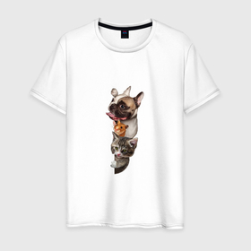 Мужская футболка хлопок с принтом PETS DOG HAMSTER KITTEN в Екатеринбурге, 100% хлопок | прямой крой, круглый вырез горловины, длина до линии бедер, слегка спущенное плечо. | домашние животные | котенок | кошка | очаровательные | собака | хомяк