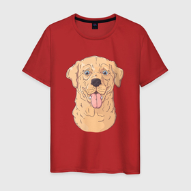 Мужская футболка хлопок с принтом Морда пса Лабрадор в Санкт-Петербурге, 100% хлопок | прямой крой, круглый вырез горловины, длина до линии бедер, слегка спущенное плечо. | лабрадор | пес | песик | собака | собачка