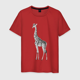 Мужская футболка хлопок с принтом Грация жирафа в Петрозаводске, 100% хлопок | прямой крой, круглый вырез горловины, длина до линии бедер, слегка спущенное плечо. | грация | длинная шея | животное | жираф | жирафа
