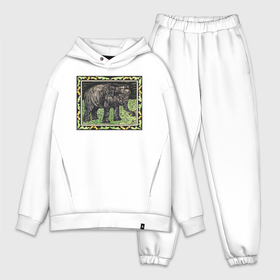 Мужской костюм хлопок OVERSIZE с принтом Olifant Met Fles (Слон) ,  |  | абстракция | винтаж | животные | картина | классика | минимализм | паттерн | природа | слон | цветы | экспрессионизм