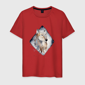 Мужская футболка хлопок с принтом Снежный   волк в Петрозаводске, 100% хлопок | прямой крой, круглый вырез горловины, длина до линии бедер, слегка спущенное плечо. | wolf | волк | волчица | снег | снежный волк