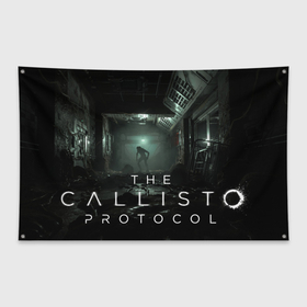 Флаг-баннер с принтом Закоулки Черного железа | Callisto protocol в Петрозаводске, 100% полиэстер | размер 67 х 109 см, плотность ткани — 95 г/м2; по краям флага есть четыре люверса для крепления | 