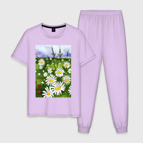 Мужская пижама хлопок с принтом Поле с ромашками в Тюмени, 100% хлопок | брюки и футболка прямого кроя, без карманов, на брюках мягкая резинка на поясе и по низу штанин
 | одуванчики | поле | поле одуванчиков | природа | цветы