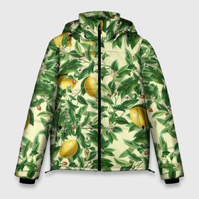 Мужская зимняя куртка 3D с принтом Лимоны На Ветках в Новосибирске, верх — 100% полиэстер; подкладка — 100% полиэстер; утеплитель — 100% полиэстер | длина ниже бедра, свободный силуэт Оверсайз. Есть воротник-стойка, отстегивающийся капюшон и ветрозащитная планка. 

Боковые карманы с листочкой на кнопках и внутренний карман на молнии. | Тематика изображения на принте: lemon | nature | summer | ветка | лето | лимон | природа | фрукты