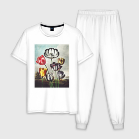 Мужская пижама хлопок с принтом Tulips (Тюльпаны) в Петрозаводске, 100% хлопок | брюки и футболка прямого кроя, без карманов, на брюках мягкая резинка на поясе и по низу штанин
 | абстракция | ботаника | винтаж | картина | классика | книга | минимализм | обложка | паттерн | природа | флора | цветы | экспрессионизм
