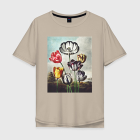 Мужская футболка хлопок Oversize с принтом Tulips (Тюльпаны) , 100% хлопок | свободный крой, круглый ворот, “спинка” длиннее передней части | Тематика изображения на принте: абстракция | ботаника | винтаж | картина | классика | книга | минимализм | обложка | паттерн | природа | флора | цветы | экспрессионизм