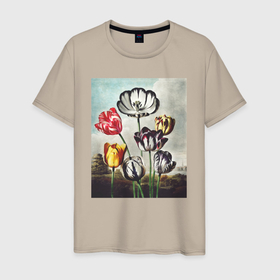 Мужская футболка хлопок с принтом Tulips (Тюльпаны) в Курске, 100% хлопок | прямой крой, круглый вырез горловины, длина до линии бедер, слегка спущенное плечо. | абстракция | ботаника | винтаж | картина | классика | книга | минимализм | обложка | паттерн | природа | флора | цветы | экспрессионизм