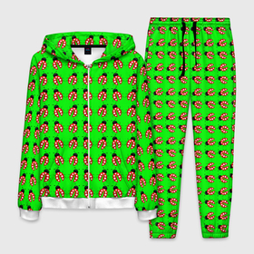 Мужской костюм 3D с принтом LADYBUG ON A GREEN BACKGROUND в Тюмени, 100% полиэстер | Манжеты и пояс оформлены тканевой резинкой, двухслойный капюшон со шнурком для регулировки, карманы спереди | акварель | жук | зеленый | красный | насекомое | точки | узор | черный