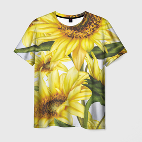 Мужская футболка 3D с принтом Сезон подсолнухов в Кировске, 100% полиэфир | прямой крой, круглый вырез горловины, длина до линии бедер | желтый цветок | лето | подсолнух | поле | семечки | солнышко | цветы