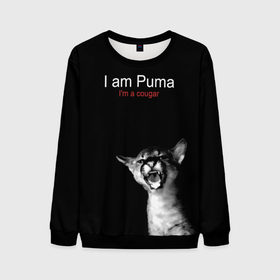 Мужской свитшот 3D с принтом Im a Puma Im a cougar , 100% полиэстер с мягким внутренним слоем | круглый вырез горловины, мягкая резинка на манжетах и поясе, свободная посадка по фигуре | cat | fangs | gaze | growls | i am a cougar | open mouth | predator | spotted kitten | wild | взгляд | дикая | клыки | кошка | открытая пасть | пятнистый котенок | рычит | хищник | я пума