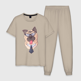 Мужская пижама хлопок с принтом Бульдог офисный клерк в очках в Белгороде, 100% хлопок | брюки и футболка прямого кроя, без карманов, на брюках мягкая резинка на поясе и по низу штанин
 | бульдог | коллега | офис | офисный | пес | собака