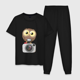 Мужская пижама хлопок с принтом Сова на фотоаппарате в Белгороде, 100% хлопок | брюки и футболка прямого кроя, без карманов, на брюках мягкая резинка на поясе и по низу штанин
 | сова | совушка | фото | фотоаппарат | фотограф