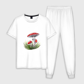 Мужская пижама хлопок с принтом Мухоморы в траве , 100% хлопок | брюки и футболка прямого кроя, без карманов, на брюках мягкая резинка на поясе и по низу штанин
 | Тематика изображения на принте: autumn | fall | forest | green | mushroom | plant | red | summer | грибочки | грибы | зеленый | зелень | красный | лес | лето | мухоморы | осень | растения