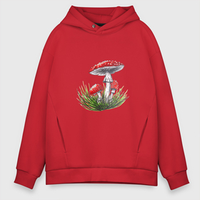 Мужское худи Oversize хлопок с принтом Мухоморы в траве в Петрозаводске, френч-терри — 70% хлопок, 30% полиэстер. Мягкий теплый начес внутри —100% хлопок | боковые карманы, эластичные манжеты и нижняя кромка, капюшон на магнитной кнопке | autumn | fall | forest | green | mushroom | plant | red | summer | грибочки | грибы | зеленый | зелень | красный | лес | лето | мухоморы | осень | растения