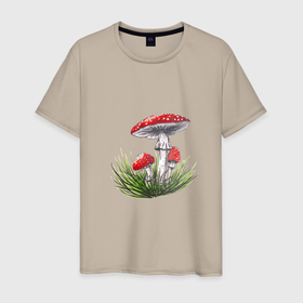 Мужская футболка хлопок с принтом Мухоморы в траве в Белгороде, 100% хлопок | прямой крой, круглый вырез горловины, длина до линии бедер, слегка спущенное плечо. | Тематика изображения на принте: autumn | fall | forest | green | mushroom | plant | red | summer | грибочки | грибы | зеленый | зелень | красный | лес | лето | мухоморы | осень | растения