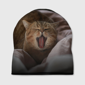 Шапка 3D с принтом Эх, поспать бы Зевающий котяра в Екатеринбурге, 100% полиэстер | универсальный размер, печать по всей поверхности изделия | cat | ears | jaw | kitten | moustache | muzzle | tongue | кот | котёнок | кошка | мордочка | пасть | усы | уши | язык