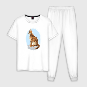 Мужская пижама хлопок с принтом Саванна кошка в Екатеринбурге, 100% хлопок | брюки и футболка прямого кроя, без карманов, на брюках мягкая резинка на поясе и по низу штанин
 | Тематика изображения на принте: cat | cats | pets | savannah the cat | детский рисунок | домашний питомец | домашняя кошка | животное | кот | кошка | природа | пятнистый кот | саванна кошка