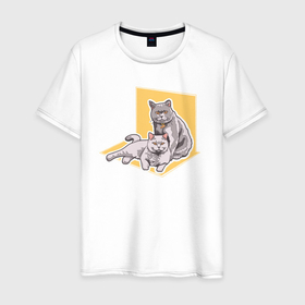 Мужская футболка хлопок с принтом Две британские кошки в Тюмени, 100% хлопок | прямой крой, круглый вырез горловины, длина до линии бедер, слегка спущенное плечо. | british cat | cat | cats | one island | pets | британец | британская кошка | детский рисунок | детское | для детей | для ребенка | домашний питомец | животные | кот | котята | кошки | лето | один остров | принт кошки