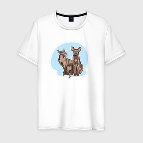 Мужская футболка хлопок с принтом Кошка Гавана Браун в Тюмени, 100% хлопок | прямой крой, круглый вырез горловины, длина до линии бедер, слегка спущенное плечо. | cat | havana | havana brown cat | one island | pets | гавана | гавана браун | гладкошерстная кошка | детский рисунок | детское | для детей | для ребен | домашний питомец | домашняя кошка | животные | кот | кошка | кошки