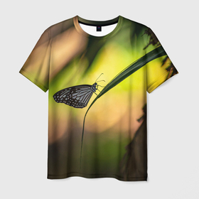 Мужская футболка 3D с принтом Ночной мотылек в Белгороде, 100% полиэфир | прямой крой, круглый вырез горловины, длина до линии бедер | Тематика изображения на принте: бабочка | вечер | закат | красота | крылья | мотылек | ночная бабочка | ночной мотылек | ночь | природа | свет | сияние | солнце