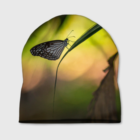 Шапка 3D с принтом Ночной мотылек в Новосибирске, 100% полиэстер | универсальный размер, печать по всей поверхности изделия | бабочка | вечер | закат | красота | крылья | мотылек | ночная бабочка | ночной мотылек | ночь | природа | свет | сияние | солнце