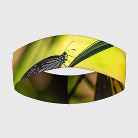 Повязка на голову 3D с принтом Ночной мотылек в Новосибирске,  |  | бабочка | вечер | закат | красота | крылья | мотылек | ночная бабочка | ночной мотылек | ночь | природа | свет | сияние | солнце