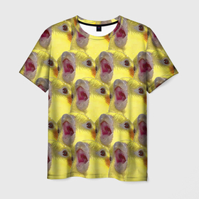 Мужская футболка 3D с принтом Попугай Корелла Орёт | Мем в Петрозаводске, 100% полиэфир | прямой крой, круглый вырез горловины, длина до линии бедер | животные | корелла | мем | попугай | попугай кричит | птицы