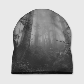 Шапка 3D с принтом Темный мрачный лес (деревья) в Тюмени, 100% полиэстер | универсальный размер, печать по всей поверхности изделия | forest | деревья | дым | лес | мрачный лес | природа | туман