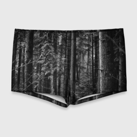 Мужские купальные плавки 3D с принтом Темный жуткий лес в Санкт-Петербурге, Полиэстер 85%, Спандекс 15% |  | Тематика изображения на принте: forest | деревья | дым | жуткий | лес | мрачный лес | природа | туман