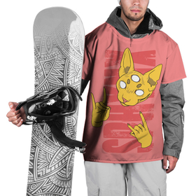 Накидка на куртку 3D с принтом Кот сфинкс арт в Тюмени, 100% полиэстер |  | sphynx cat | донской сфинкс кот | канадский сфинкс кот | кот петерболд | кот питерболд | кот сфинкс | кошка сфинкс