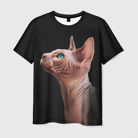 Мужская футболка 3D с принтом Кот канадский сфинкс в Новосибирске, 100% полиэфир | прямой крой, круглый вырез горловины, длина до линии бедер | sphynx cat | донской сфинкс кот | канадский сфинкс кот | кот петерболд | кот питерболд | кот сфинкс | котенок сфинкс | кошка сфинкс