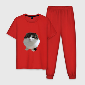 Мужская пижама хлопок с принтом wawa cat   Oh The Misery Cat в Курске, 100% хлопок | брюки и футболка прямого кроя, без карманов, на брюках мягкая резинка на поясе и по низу штанин
 | Тематика изображения на принте: cat | kotaro | memes | misery | wawa