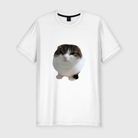 Мужская футболка хлопок Slim с принтом wawa cat   Oh The Misery Cat в Курске, 92% хлопок, 8% лайкра | приталенный силуэт, круглый вырез ворота, длина до линии бедра, короткий рукав | Тематика изображения на принте: cat | kotaro | memes | misery | wawa