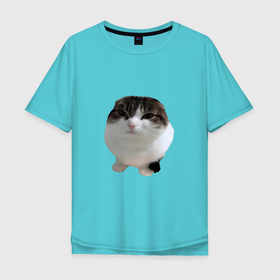 Мужская футболка хлопок Oversize с принтом wawa cat   Oh The Misery Cat в Курске, 100% хлопок | свободный крой, круглый ворот, “спинка” длиннее передней части | cat | kotaro | memes | misery | wawa