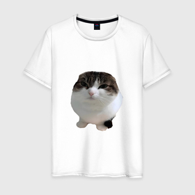 Мужская футболка хлопок с принтом wawa cat   Oh The Misery Cat в Курске, 100% хлопок | прямой крой, круглый вырез горловины, длина до линии бедер, слегка спущенное плечо. | Тематика изображения на принте: cat | kotaro | memes | misery | wawa