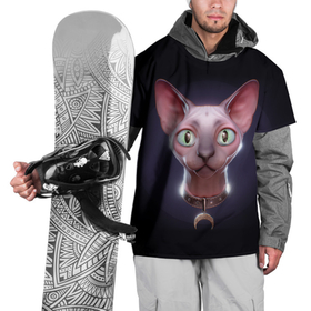 Накидка на куртку 3D с принтом Кошка канадский сфинкс в Петрозаводске, 100% полиэстер |  | sphynx cat | донской сфинкс кот | канадский сфинкс кот | кот петерболд | кот питерболд | кот сфинкс | котенок сфинкс | кошка сфинкс