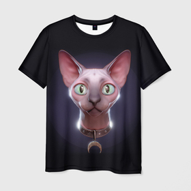 Мужская футболка 3D с принтом Кошка канадский сфинкс в Курске, 100% полиэфир | прямой крой, круглый вырез горловины, длина до линии бедер | sphynx cat | донской сфинкс кот | канадский сфинкс кот | кот петерболд | кот питерболд | кот сфинкс | котенок сфинкс | кошка сфинкс