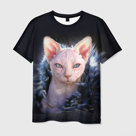 Мужская футболка 3D с принтом Кошка сфинкс в Новосибирске, 100% полиэфир | прямой крой, круглый вырез горловины, длина до линии бедер | sphynx cat | донской сфинкс кот | канадский сфинкс кот | кот петерболд | кот питерболд | кот сфинкс | котенок сфинкс | кошка сфинкс