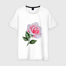Мужская футболка хлопок с принтом Gentle Rose в Курске, 100% хлопок | прямой крой, круглый вырез горловины, длина до линии бедер, слегка спущенное плечо. | art | blossom | drawing | flower | hand drawn | painting | pink | rose | rosebud | бутон | живопись | картина | роза | розовый | розочка | цветок | цветы