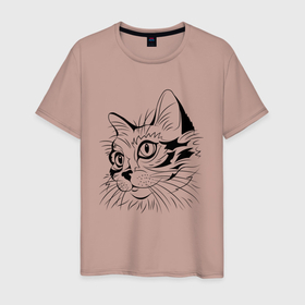 Мужская футболка хлопок с принтом Глазастый кошарик в Тюмени, 100% хлопок | прямой крой, круглый вырез горловины, длина до линии бедер, слегка спущенное плечо. | Тематика изображения на принте: cat | котенок | котики | коты | кошки
