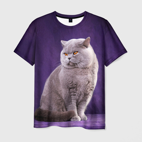Мужская футболка 3D с принтом Британская кошка в Белгороде, 100% полиэфир | прямой крой, круглый вырез горловины, длина до линии бедер | british cat | английская кошка | британец | британская вислоухая кошка | британская кошка | британский кот | вислоухий британец | вислоухий котенок британец | кот британец | котенок британец