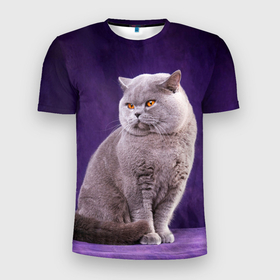 Мужская футболка 3D Slim с принтом Британская кошка в Новосибирске, 100% полиэстер с улучшенными характеристиками | приталенный силуэт, круглая горловина, широкие плечи, сужается к линии бедра | british cat | английская кошка | британец | британская вислоухая кошка | британская кошка | британский кот | вислоухий британец | вислоухий котенок британец | кот британец | котенок британец