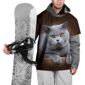 Накидка на куртку 3D с принтом Британский кот в Екатеринбурге, 100% полиэстер |  | british cat | английская кошка | британец | британская вислоухая кошка | британская кошка | британский кот | вислоухий британец | вислоухий котенок британец | кот британец | котенок британец