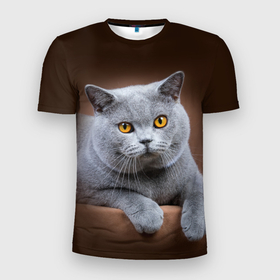 Мужская футболка 3D Slim с принтом Британский кот , 100% полиэстер с улучшенными характеристиками | приталенный силуэт, круглая горловина, широкие плечи, сужается к линии бедра | Тематика изображения на принте: british cat | английская кошка | британец | британская вислоухая кошка | британская кошка | британский кот | вислоухий британец | вислоухий котенок британец | кот британец | котенок британец