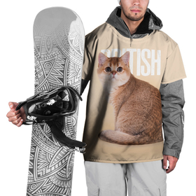 Накидка на куртку 3D с принтом Котенок  британец в Екатеринбурге, 100% полиэстер |  | british cat | английская кошка | британец | британская вислоухая кошка | британская кошка | британский кот | вислоухий британец | вислоухий котенок британец | кот британец | котенок британец