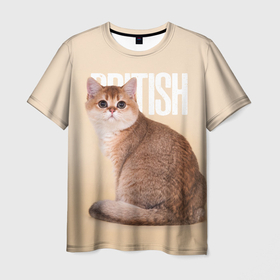 Мужская футболка 3D с принтом Котенок  британец , 100% полиэфир | прямой крой, круглый вырез горловины, длина до линии бедер | british cat | английская кошка | британец | британская вислоухая кошка | британская кошка | британский кот | вислоухий британец | вислоухий котенок британец | кот британец | котенок британец