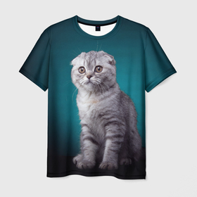 Мужская футболка 3D с принтом Британская вислоухая кошка в Санкт-Петербурге, 100% полиэфир | прямой крой, круглый вырез горловины, длина до линии бедер | british cat | английская кошка | британец | британская вислоухая кошка | британская кошка | британский кот | вислоухий британец | вислоухий котенок британец | кот британец | котенок британец