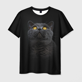 Мужская футболка 3D с принтом Черный кот британец в Тюмени, 100% полиэфир | прямой крой, круглый вырез горловины, длина до линии бедер | british cat | английская кошка | британец | британская вислоухая кошка | британская кошка | британский кот | вислоухий британец | вислоухий котенок британец | кот британец | котенок британец