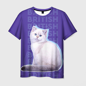 Мужская футболка 3D с принтом Котенок британской кошки в Петрозаводске, 100% полиэфир | прямой крой, круглый вырез горловины, длина до линии бедер | british cat | английская кошка | британец | британская вислоухая кошка | британская кошка | британский кот | вислоухий британец | вислоухий котенок британец | кот британец | котенок британец